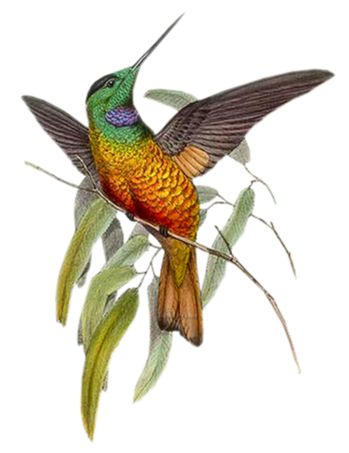 őszi állatok_122.png